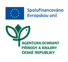 Obnova lipové aleje Vrchotovy Janovice